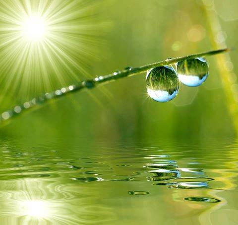 waterlight